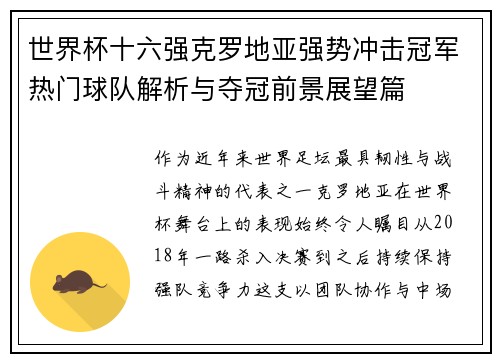 世界杯十六强克罗地亚强势冲击冠军热门球队解析与夺冠前景展望篇